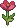 Poppy