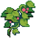 ORN Vines Climbers 03