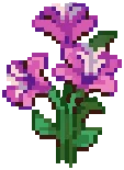 CROP Hibiscus4Harvestable Rose