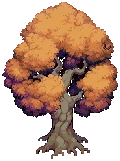 TREE Oak Grow 04 Autumn