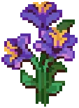 CROP Hibiscus4Harvestable Violet
