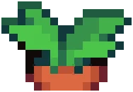 CROP EA1 Carrot PVP0Seedling — PvP variant