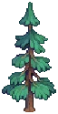 VILLAGE Pine Grow02