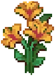 CROP Hibiscus4Harvestable Yellow
