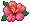 Hibiscus (Red)