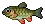 Chub