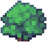 WILD Bush 03