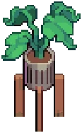 Monstera Plant — recipe