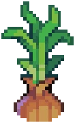 CROP EA1 Onion PVP2Grow — PvP variant