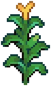 CROP Corn PVP2Grow — PvP variant
