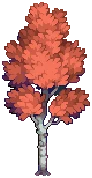 VILLAGE Silver Birch Autumn B Grow03