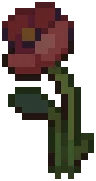 WILD Poppy03
