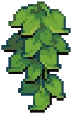 ORN IVY Green 03