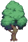 VILLAGE Oak Grow03 C