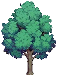 VILLAGE Ash Grow04