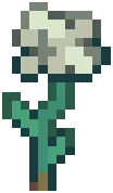 VILLAGE Hemlock 01