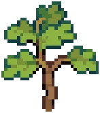 TREE Oak Grow 01 Autumn