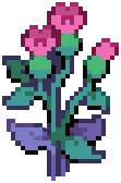 WEED Burdock 03