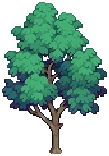 VILLAGE Ash Grow02