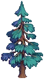 VILLAGE Pine B Grow03