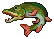 Pike
