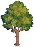 VILLAGE Fur Grow04 A