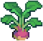 CROP EA1 Turnip PVP2Grow — PvP variant