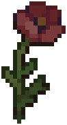 WILD Poppy05