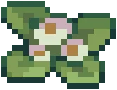 WEED Weed 07