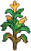 CROP Corn4Harvestable
