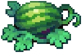 CROP Watermelon3Harvestable
