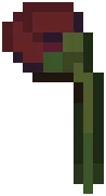 WILD Poppy01