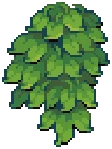 ORN IVY Green 01