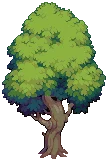 VILLAGE Oak Grow03 B