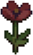 WILD Poppy06