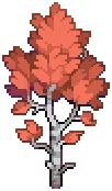VILLAGE Silver Birch Autumn B Grow02