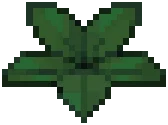 WEED Starleaf Med
