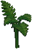 WEED Temple Tall Fern