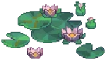 WILD Lilypad 04