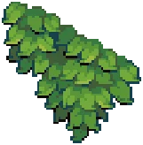 ORN IVY Green 02