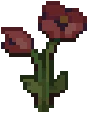 WILD Poppy02