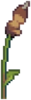 WILD Reeds 07