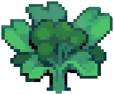CROP EA1 Broccoli PVP3Grow — PvP variant