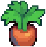 CROP EA1 Carrot3Harvestable